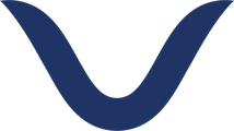 Voice Evolution Institute